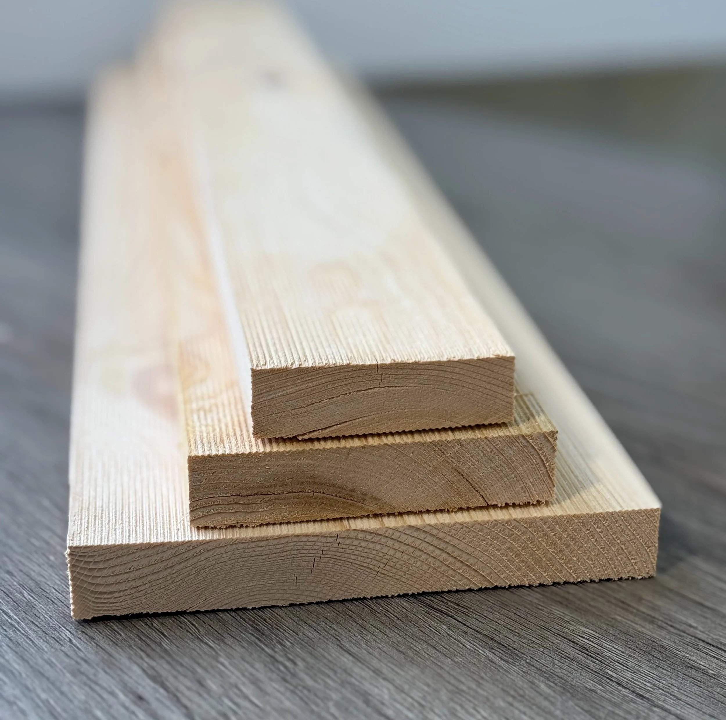 Eastern White Hemlock | Explore Durable Hemlock—Get Yours Today